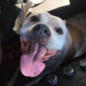 Meet your Posher, Candace